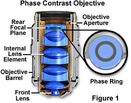 phase contrast objective